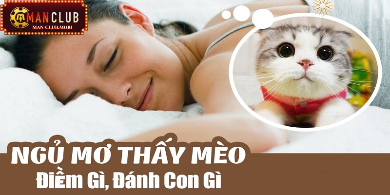 Bật mí những con số may mắn khi mơ thấy mèo 