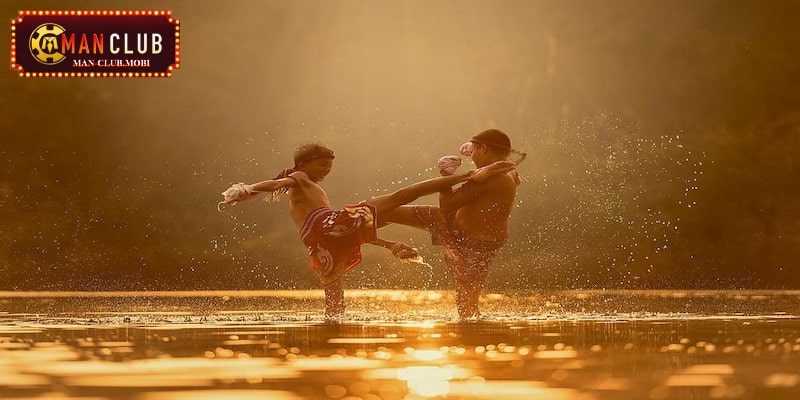 Mơ đánh nhau đánh số bao nhiêu?