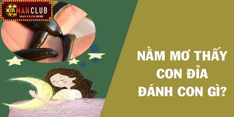 Mơ thấy đỉa đánh con số nào?